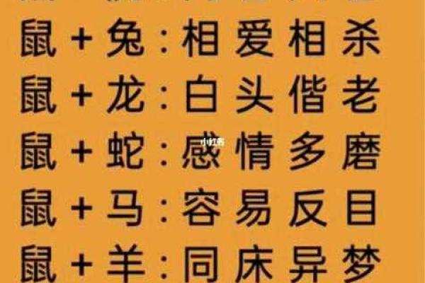 三从四德是什么生肖 三从四德是什么生肖