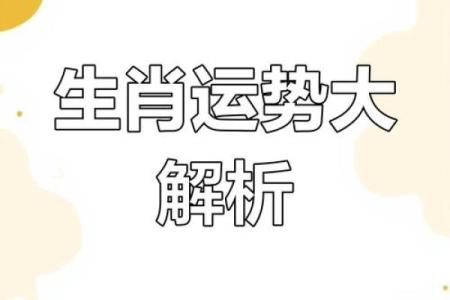 2025年属羊人财运大揭秘如何把握财富机遇