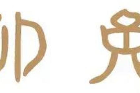 天上人间打一最佳生肖(天上人间打一最佳生肖百度知道)