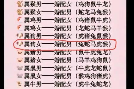 男孩属虎女孩属龙可以婚配吗 男生属虎女生属龙在一起好吗