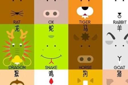 一飞冲天指什么生肖(一飞冲天指什么生肖最佳)