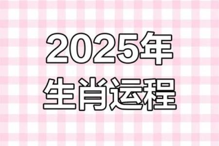 2025属狗_2025属狗人每月运势