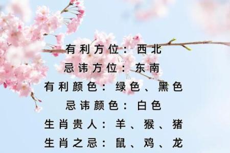 2024年属兔人每月运势详解全年运程预测