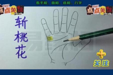 71属猪的桃花劫是多少岁_71年属猪人桃花劫年龄揭秘几岁最易遇感情危机