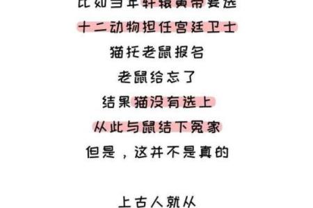 英才盖世打一生肖