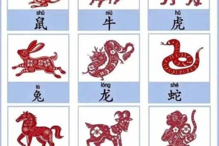 兵荒马乱什么生肖(兵荒马乱解一生肖)