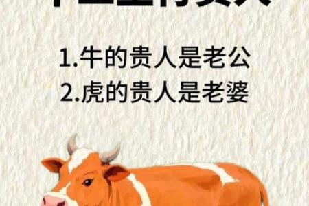 属狗跟谁一起财运好 属狗要珍惜的两大贵人