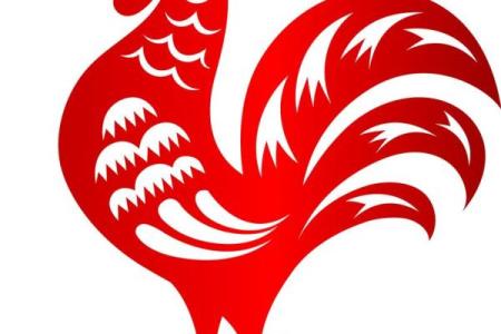 金鸡独立是什么生肖(金鸡独立是什么生肖是龙肖吗)