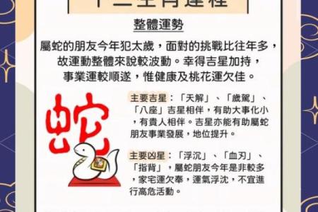 鼠运势2025运势详解