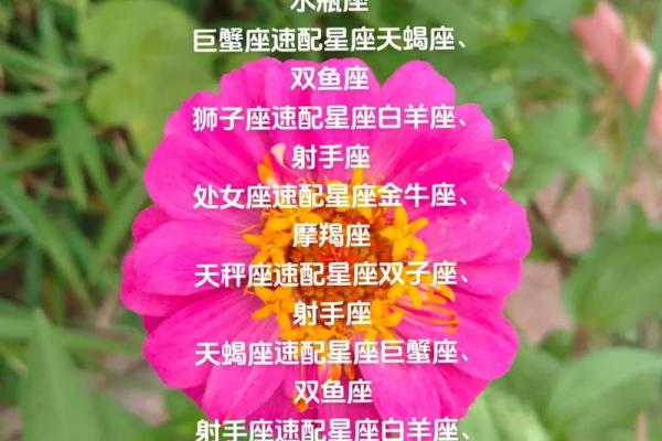 白羊座男与狮子座女的匹配程度是多少 白羊座男与狮子座女的匹配程度是多少