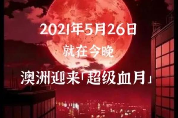 2021金牛百年难遇 2021金牛百年难遇