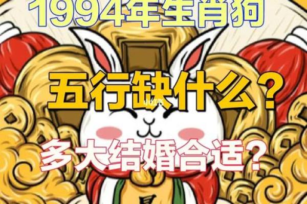 94年的狗是什么命 五行属什么 1994年属狗五行属什么揭秘94年狗命格与运势