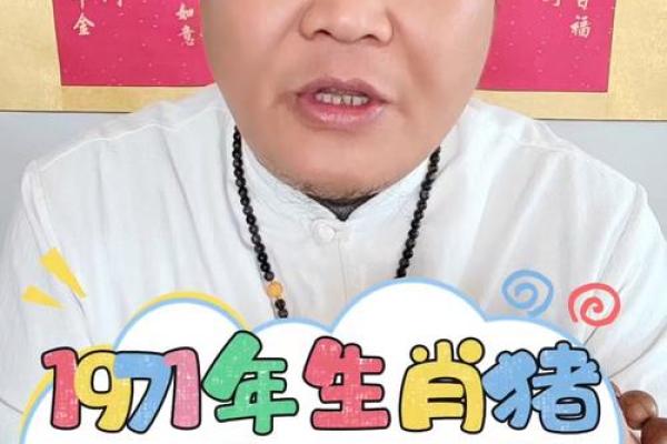 1983年属猪男2025年运势详解财运事业感情全解析