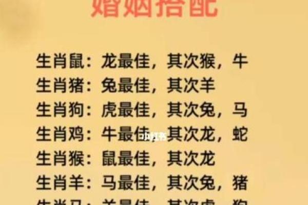 属虎和属猪的婚姻相配吗 属虎和属猪的婚姻相配吗解析生肖配对与婚姻幸福