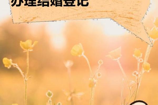 2024年结婚最好的日子(2024年结婚最好的日子国庆是哪一天) 2024年结婚最好的日子(2024年结婚最好的日子国庆是哪一天)