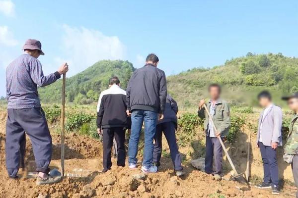 2021年4月4日动土 2021年4月4日动土