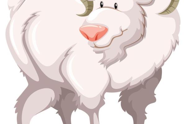 伯乐相马是什么生肖 伯乐相马是什么生肖