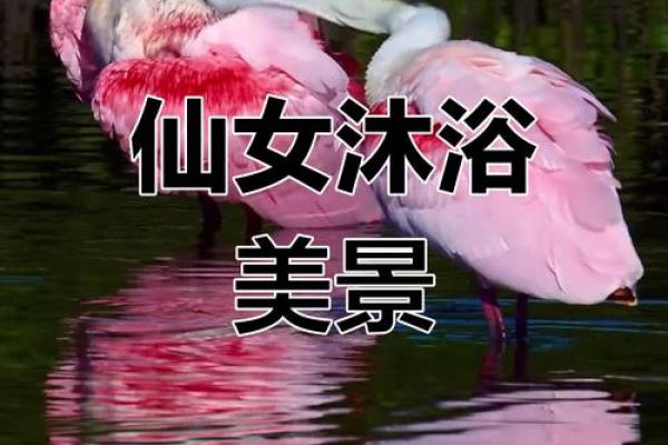 初一可以洗澡嘛吗 初一可以洗澡嘛吗