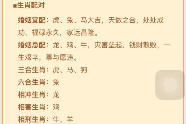 属狗和属鸡的婚姻如何_属狗和属鸡的婚姻如何化解