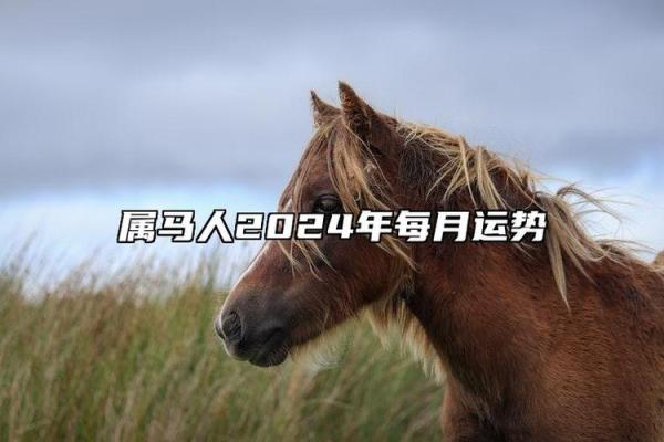 66年属马人今日财运 2023年66年属马人今日财运大吉财富运势走势分析