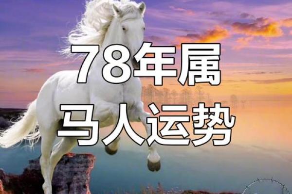 属马1978年2025年运势及运程_2025属马的运势和财运1978