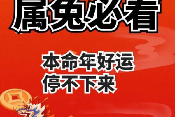 23年的兔是什么命 五行属什么_2023年属兔五行属什么揭秘23年兔年命运与五行属性 23年的兔是什么命 五行属什么_2023年属兔五行属什么揭秘23年兔年命运与五行属性