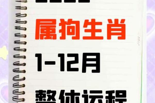 2025属狗人的全年运势1982出生_20251994年属狗人的全年运势 2025属狗人的全年运势1982出生_20251994年属狗人的全年运势