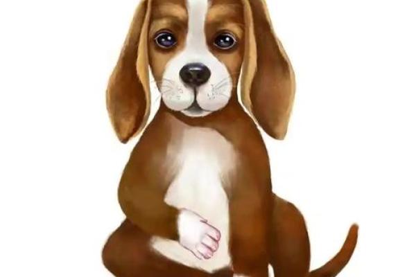 属狗2025年多大年龄_2025年属狗人年龄全解析你今年几岁