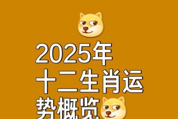 96年鼠2025年的运势 96年鼠2025年的运势