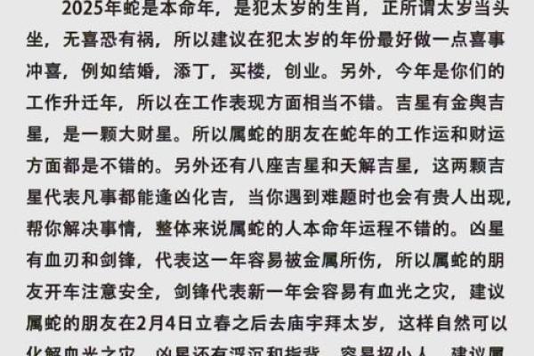 生肖鼠2025年运势及运程