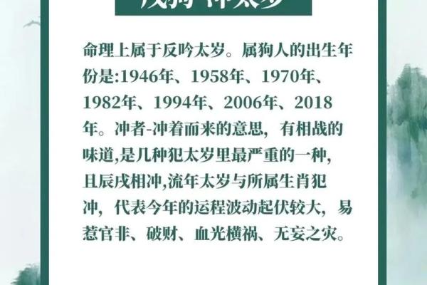 1982年属狗在2026年全年运程_1982年属狗2026年全年运势详解及运程预测 1982年属狗在2026年全年运程_1982年属狗2026年全年运势详解及运程预测