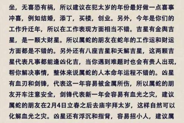 2025年属龙女人的全年运势详解_2025年属龙女性全年每月运势大解析