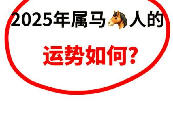 2025年属马人命运解析全年运势及命理预测