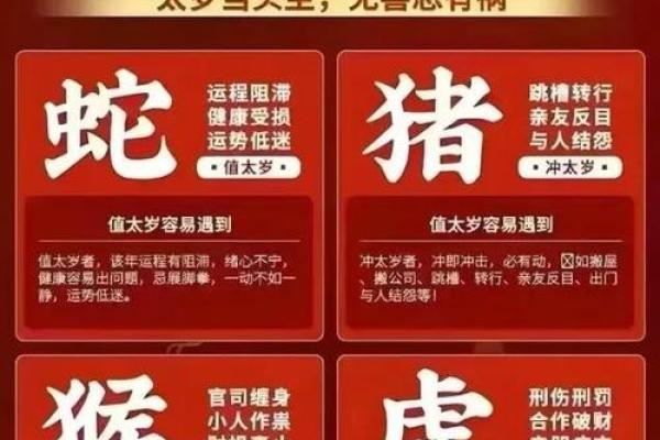 同心同德是什么生肖(同心同德打什么数字) 同心同德是什么生肖(同心同德打什么数字)