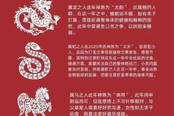 2025属鼠每月运势 2025属鼠每月运势