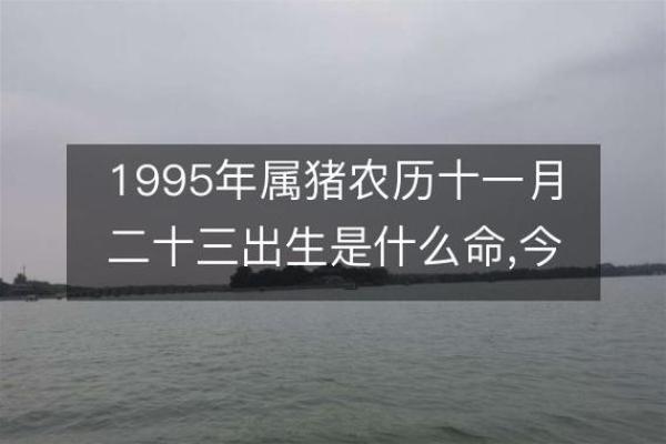 95年属啥 95年属啥
