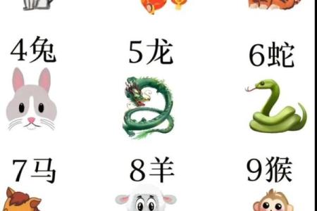 分星掰两代表什么生肖(分星掰两代表什么生肖)