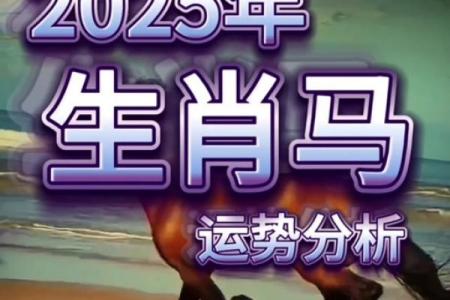 02年的马今年运势_02年的马今年运势怎么样