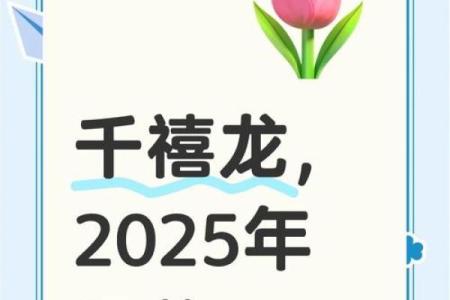 1976年生肖龙2025年运势_1976年属龙人2025年全年运势解析运程趋势全掌握