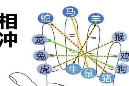 家喻户晓指什么生肖