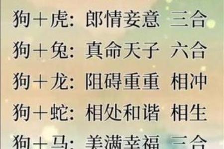 93年1月份出生属鸡还是猴生肖划分详解