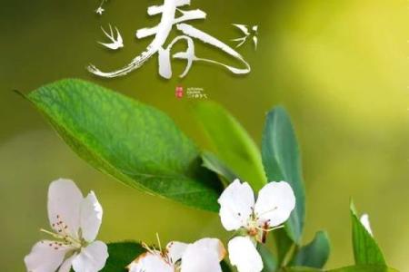 2021年什么时候立春