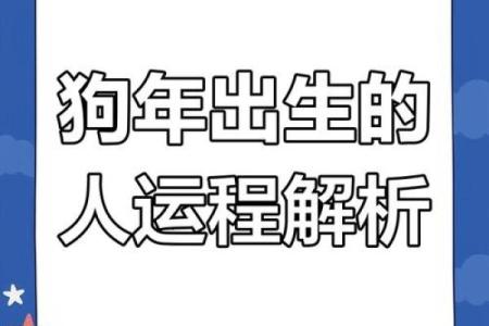 2025年属狗的全年运势_2025年属狗全年运势详解事业财运感情全面解析
