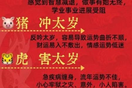 刻鹄不成是什么生肖(刻鹄不成是什么生肖动物)