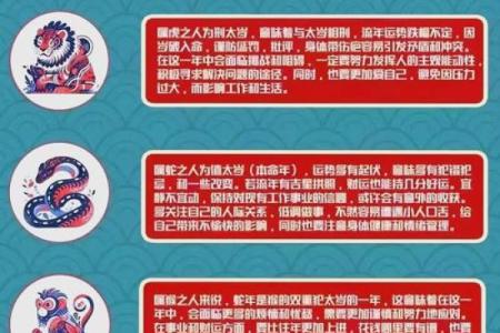 属兔2025本命年运势_2025属兔本命年运势详解如何化解太岁提升运势