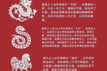 2025属鼠每月运势