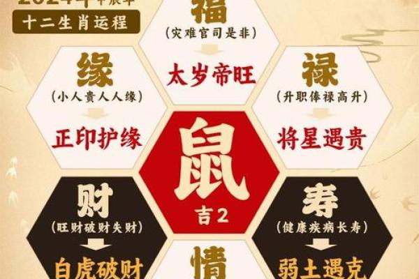 1972年2025年属鼠人的全年运势 1972年2025年属鼠人的全年运势