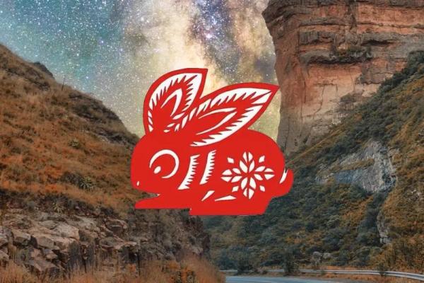 属兔女2022年结婚好吗(属兔女2022年结婚好吗)