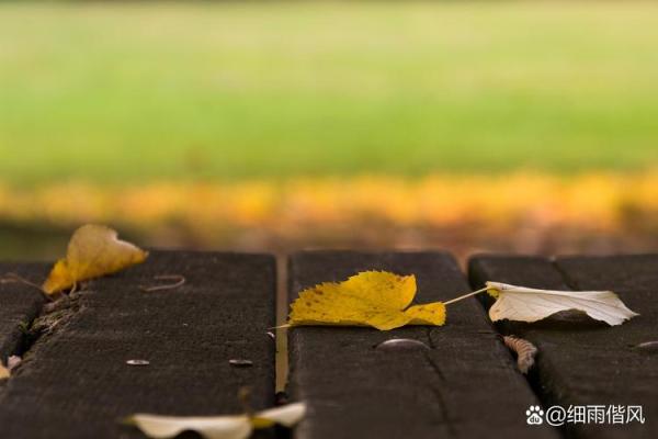 秋风落叶打一生肖(秋风落叶打一生肖是什么) 秋风落叶打一生肖(秋风落叶打一生肖是什么)