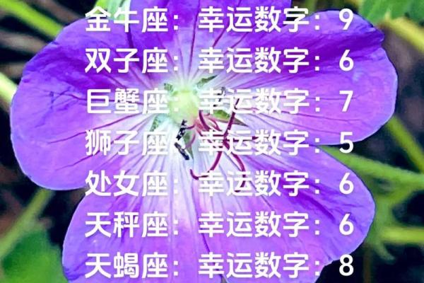 白羊座今日幸运颜色和数字(白羊座今天的幸运颜色) 白羊座今日幸运颜色和数字(白羊座今天的幸运颜色)